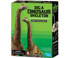 8503237 4M 00-03237 Aktivitetspakke, Brachiosaurus 4M Dinosaur